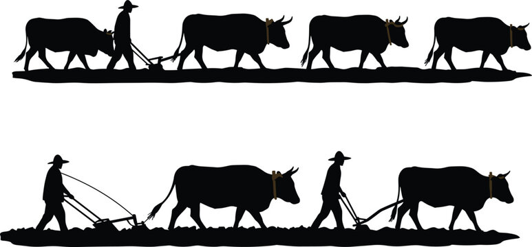 Farmers plowing fields with oxen, traditional agriculture silhouettes, rural village life, manual labor, countryside farming heritage, flat vector illustration design
