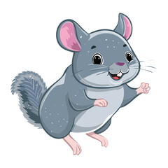Playful Grey Cartoon Animal Chinchilla Standing and Waving Hello with a Big Bushy Tail, Full Body Vector Illustration