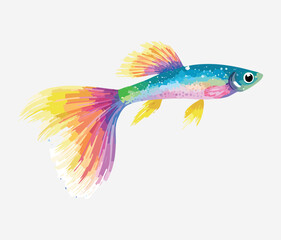 Fototapeta premium Colorful Guppy Fish Animal with a Long Flowing Tail Swimming Horizontally in a Bright and Dynamic Underwater Scene
