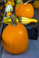Organic raw pumpkins outside on market stall corner