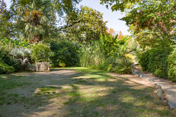 Obraz premium Particolari del bellissimo parco del Valentino