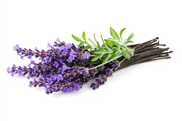Lavender bouquet with white background.