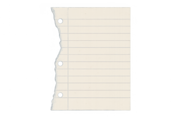 Torn lined paper sheet featuring binder holes and distressed edge, representing note taking and stationery texture