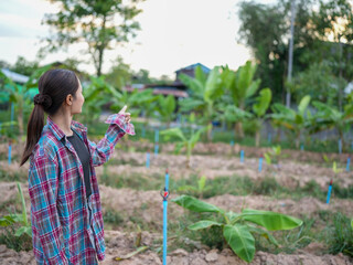 Woman in plaid shirt stands in garden, pointing towards horizon. scene features rows of young banana plants and serene landscape, evoking sense of connection to nature and growth