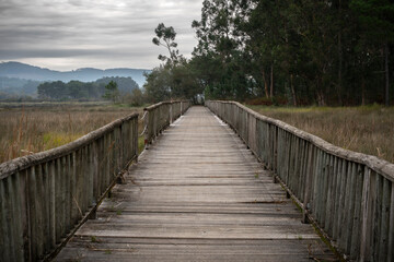 Paseo de Torres deteriorado en Catoira, Galicia