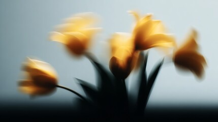 Fototapeta premium Bright yellow tulips captured in soft focus against a light background in a cozy indoor setting during spring