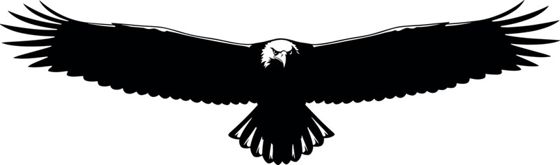 Eagle silhouette in flight, front view, black and white vector, fierce expression, wings spread, freedom symbol, patriotic bird illustration