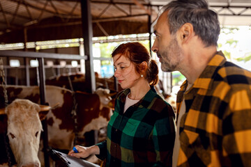 Male and female farmers working together on dairy cow farm writing notes.