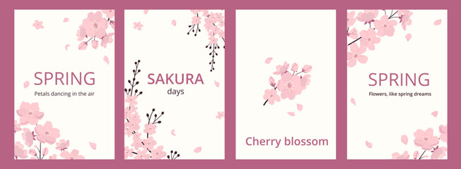 Celebrative spring vertical posters with blossom cherry, petals and text on white backdrop. Noise texture effect. Asian culture. Sakura festival. Template for background, cover, label, social media.