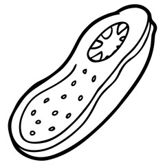 Cucumber Slices Vector Illustration