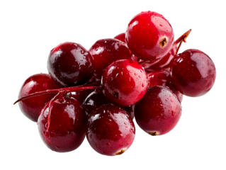 Fresh Cranberries on Stem with Water Droplets , isolated on transparent cutout background

