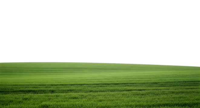 Green grass field with dark sky isolated on transparent background