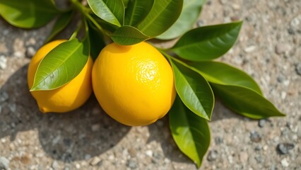 Bright yellow lemon with green leaves on a stone surface, captured in natural daylight from above.