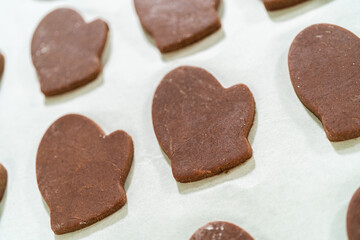 Pale Gingerbread Cookies a festive holiday treat crafted step by step