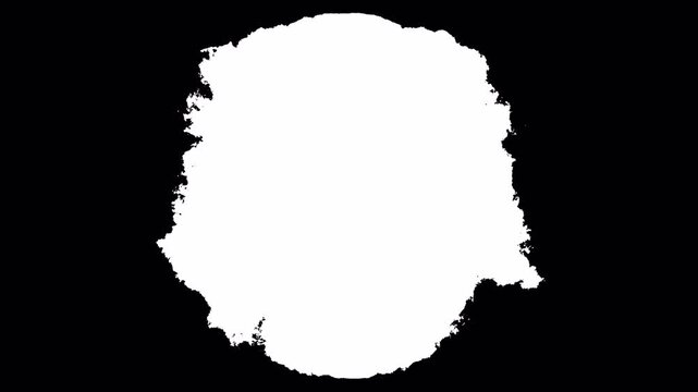  Ink Drop Spreading animation with alpha channel, Liquid Ink Splash Expanding Smoothly, Ink Flow Transition Effect, Paint Splash Animation, Alpha Matte for Video Editing in 4K Resolution.