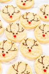 Box of Easy Last Minute Reindeer Sugar Cookies