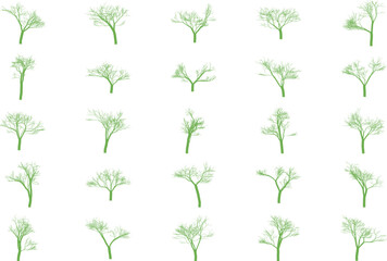 Vibrant bare tree branches delicate white flowers spring awakening blossoms nature beauty