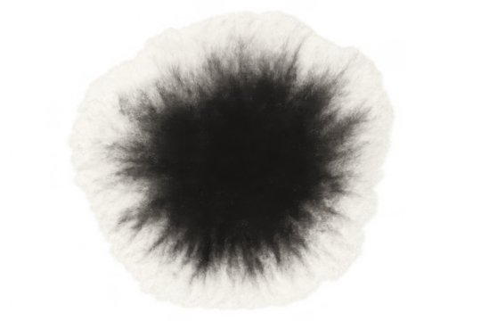 Black ink blotted paint splattering, forming watercolor texture, creative abstract art element, transparent background