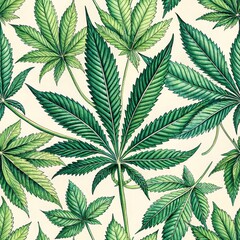  green cannabis leaf on a pure white background