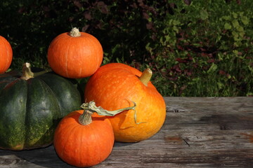 very beautiful orange pumpkin on an autumn background