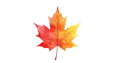 Fototapeta premium Autumnal watercolor maple leaf isolated on white background botanical illustration design element
