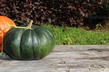 very beautiful orange pumpkin on an autumn background
