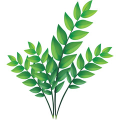 Vibrant Green Fern Fronds With Detailed Leaf Veins And A Transparent Background Creating A Fresh Natural Botanical Element