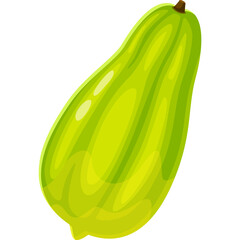 Vibrant Green Papaya Fruit with Smooth Skin and Realistic Shading Isolated on White Background Detailed Cartoon Illustration