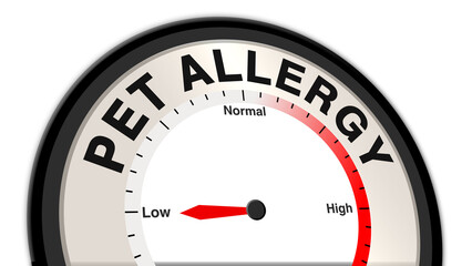 Pet allergy at low severity displayed on a barometer or tachometer, indicating mild allergic reactions, minor symptoms, and the need for regular monitoring and routine management