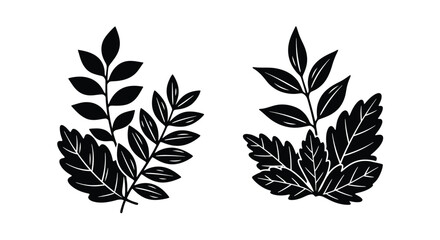 Black and white botanical illustration of detailed leaf and branch designs