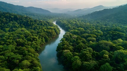 Aerial view of a river winding through dense tropical rainforest.