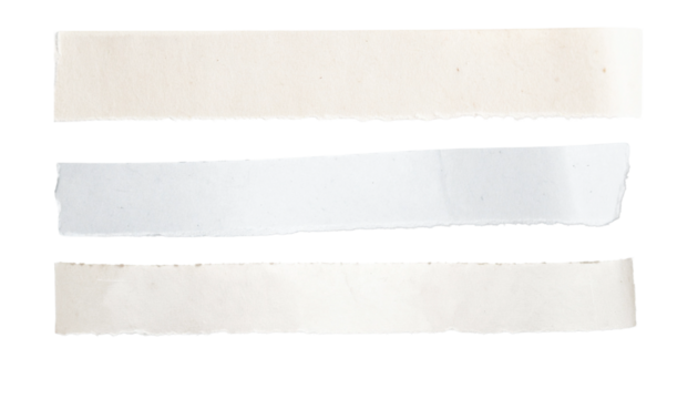 long torn paper horizontal strip, slightly curled edge, soft light, white background