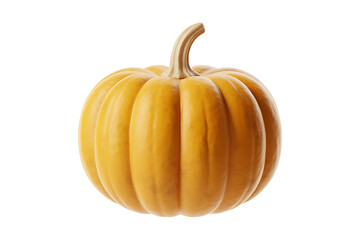 Fototapeta premium Vibrant orange pumpkin with textured surface and a sturdy green stem.
