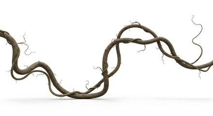 Close-up of a winding vine with intricate details and a natural, organic appearance against a white backdrop.