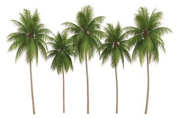 Tall palm trees stand in a row, lush green foliage against a clear sky.