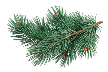 Vibrant green pine branch with needles and cones, evoking nature and winter's beauty.