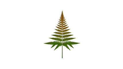 Obraz premium Fern leaf illustration green and brown gradient isolated on transparent background botanical symmetrical natural minimal decorative peaceful suitable for design and nature concepts