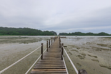 Fototapeta premium Wooden bridge spans a body of water