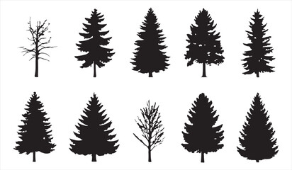 Ten different tree shapes in black silhouette illustrating forest diversity and outdoor landscape design