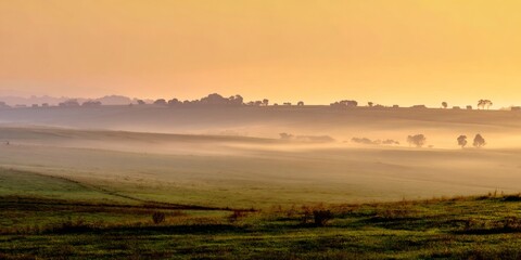 Fototapeta premium Rolling hills landscape covered with thick fog at sunrise, golden light spreading over misty farm fields, serene countryside view