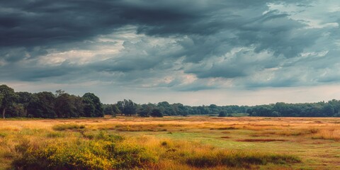 Fototapeta premium Dark dramatic clouds filling a wide sky over expansive grasslands and dense woodland, creating a moody, foreboding atmosphere