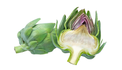 Whole fresh raw artichoke or freshly harvested artichoke isolated.	