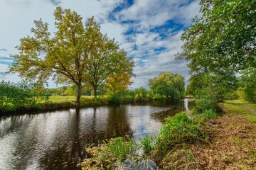 Autumn Forest Road Beautiful Leaves Changing Colorful Fall Foliage Winding Dirt Path Leads to Off Road Adventure. Landscape Nature Environment Remote