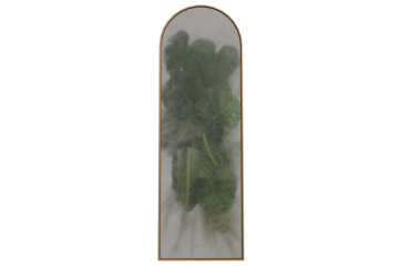 A tall, arched mirror or window reveals blurred green foliage, possibly a plant, encased behind a misty surface with a thin golden frame