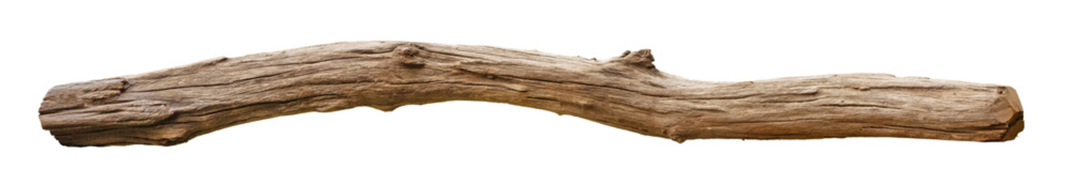 Broken tree branches with detached bark. Rustic wood branch. Weathered driftwood log isolated. Willow log isolate	