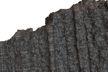 Rough, dark gray rock formation with intricate textures and vertical ridges against a stark black background. Natural geological surface