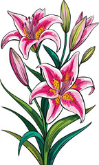 Lily Flowers Pink and Green Colors, beautiful Plants, Flowers, Leaves, Branch Vector.