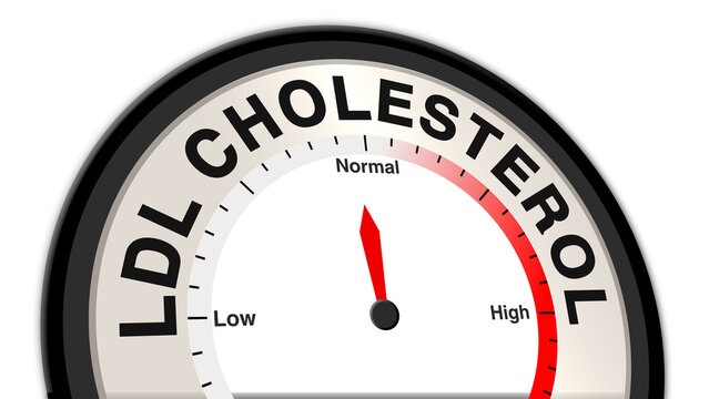 LDL cholesterol at normal levels, displayed on a barometer or tachometer, illustrating balanced &ldquo;bad&rdquo; cholesterol, supporting healthy circulation, heart function, and cardiovascular stability