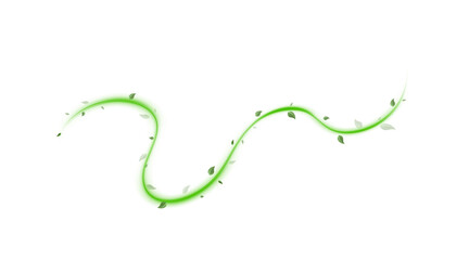 Abstract wind swirls with green leaves and glitter isolated on white background.