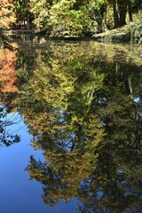 autunno al lago